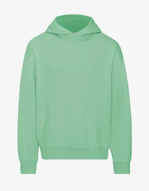 Organic Oversized Hood - Seafoam Green