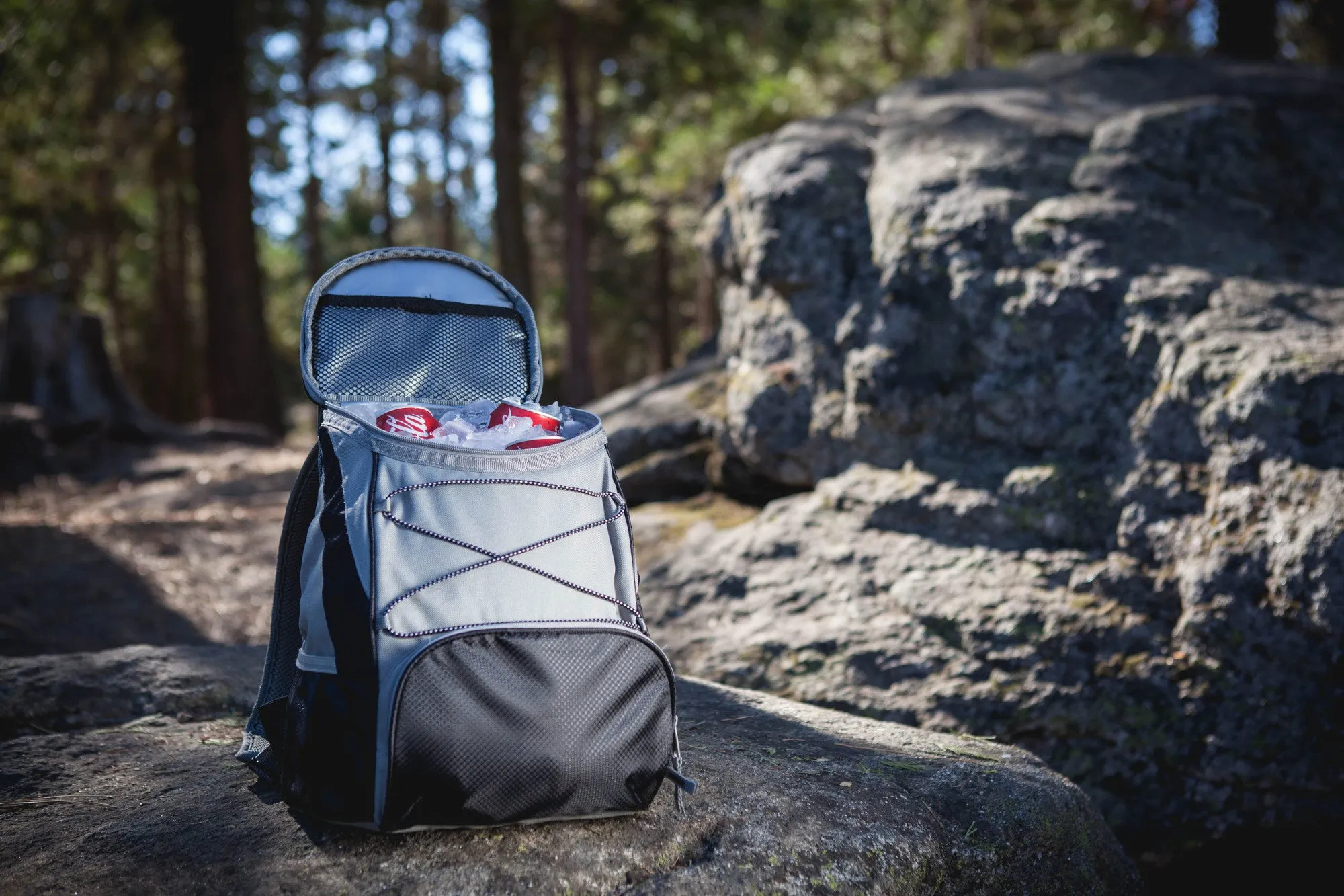 South Carolina Gamecocks - PTX Backpack Cooler